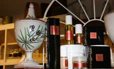 The Art of Perfumery in Florence