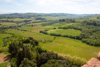 Tuscany Wine Trail - Hills